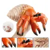 Figurină Mare Crab Pustnic din Material Moale Premium, Jucărie Educativă și de Colecție cu Pictură Realistă Realizată Manual, Pentru Copii și Pasionați de Viața Oceanică