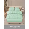 Lenjerie de Pat Dublu din Finet Premium Pucioasa, 6 Piese, cu Pliuri Brodate și Cearceaf cu Elastic, Verde Mentă Uni, Model Q-10
