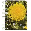 En-gros Carnet cu spiră Păpădie, 7 x 10 cm, 75 foi veline - vânzare en-gros pentru revânzare