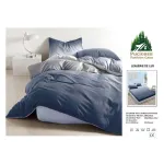 Lenjerie de Pat Dublu din Finet cu Cearceaf cu Elastic, Model Elegant în Degradé Albastru-Gri Pucioasa, 4 Piese