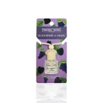 Odorizant auto Blackberry & Grape by Frederic Patric, 8 ml