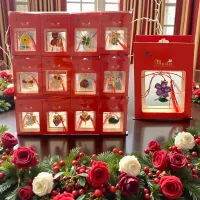 Mărțișor broșă 24 set în cutii roșii cu fereastră, modele mixte, cadou 1 Martie
