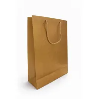 Punga cadou eleganta mare 42x30x12 cm model auriu premium