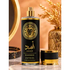 En-gros Parfum de Corp Bărbați 250 ml - Cod 1916-5 - vânzare en-gros pentru revânzare