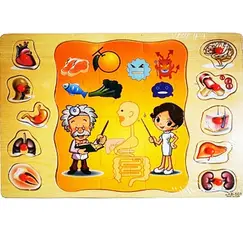 Puzzle Educativ din Lemn cu Mâner, Anatomia Corpului Uman, 10 Piese