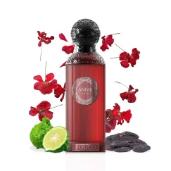 Apă de Parfum Anfar Fouco, Anfar, Bărbați, 100 ml