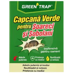 Capcană verde adezivă pentru șoareci și șobolani cu adeziv puternic și inodor