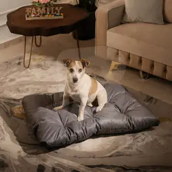 Saltea-Pernă Matlasată și Impermeabilă pentru Animale de Talie Mică și Medie, Poliester Oxford, Fermitate Reglabilă, 100 cm x 65 cm