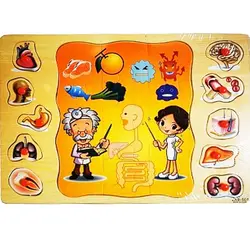 Puzzle Educativ din Lemn cu Mâner, Anatomia Corpului Uman, 10 Piese