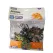 Set 12 Figurine Insecte și Nevertebrate pentru Copii, Colecția Insect World, Modele Realiste de Gândaci, Păianjen și Buburuză