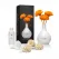 Parfum de Cameră USO Paris Double Cream Lux Series