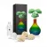 Parfum de Cameră USO Paris Exotic Mango Lux Series