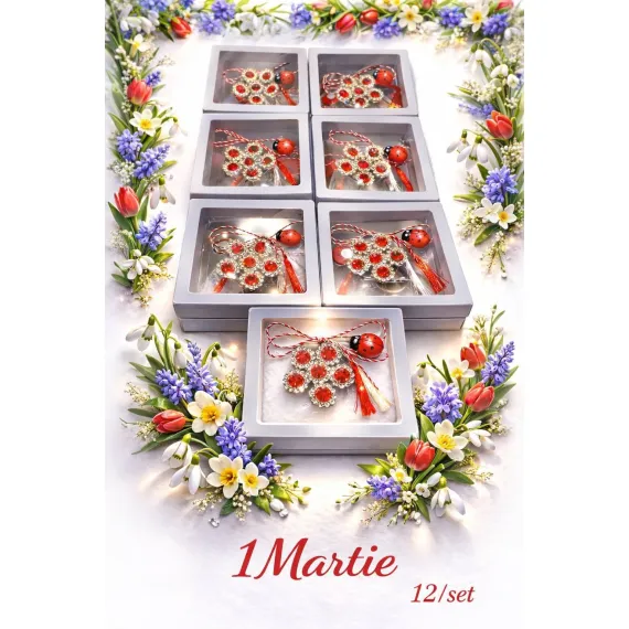 Mărțișor broșă cu pietre și buburuză 12 buc set elegant cadou 1 Martie