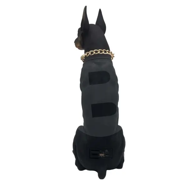 Boxă Bluetooth tip Doberman cu porturi conectare spate