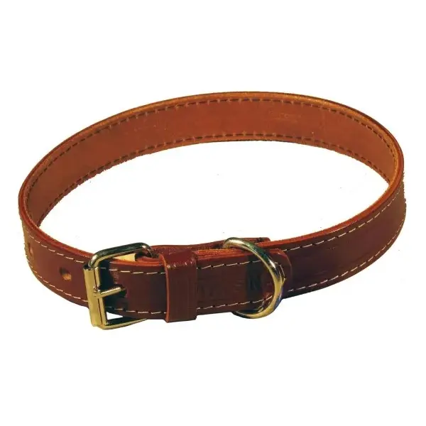 Zgardă din piele pentru câini 54 cm x 2 cm