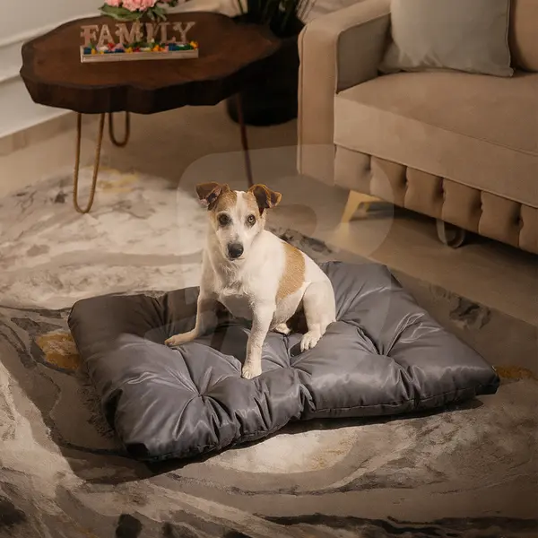 Saltea-Pernă Matlasată și Impermeabilă pentru Animale de Talie Mică și Medie, Poliester Oxford, Fermitate Reglabilă, 100 cm x 65 cm