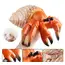 Figurină Mare Crab Pustnic din Material Moale Premium, Jucărie Educativă și de Colecție cu Pictură Realistă Realizată Manual, Pentru Copii și Pasionați de Viața Oceanică