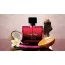 Apă de Parfum Diane Castel, Lady Cherie, pentru femei, 100 ml