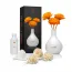 Parfum de Cameră USO Paris Double Cream Lux Series