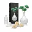 Parfum de Cameră USO Paris Green Tea Peony Lux Series
