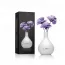 Parfum de Cameră USO Paris Patchouli Lavender Lux Series