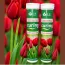 Tablete Fertilizante pentru Plante (22 buc.)