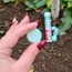 Tablete Fertilizante pentru Plante (22 buc.)