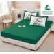 Set Husă de Pat cu Elastic Verde și 2 Fețe de Pernă, Finet, 160x200 cm