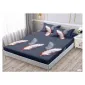 Set Husă de Pat din Finet cu Elastic, 180x200 cm, Model Pene, 2 Fețe de Pernă